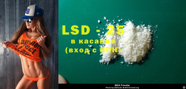 индика Вязьма