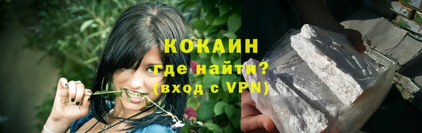 индика Вязьма