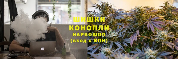 индика Вязьма
