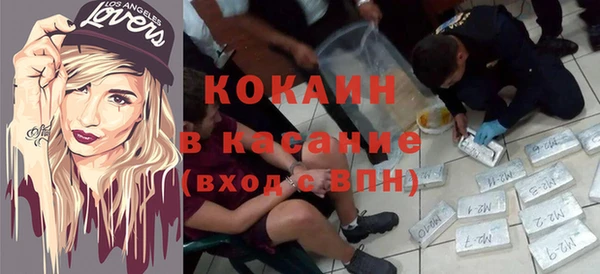 индика Вязьма