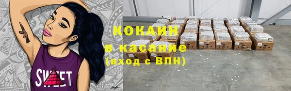 индика Вязьма