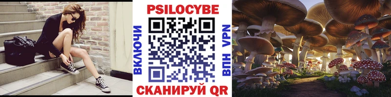 Купить  Покровск  Псилоцибиновые грибы Psilocybe 